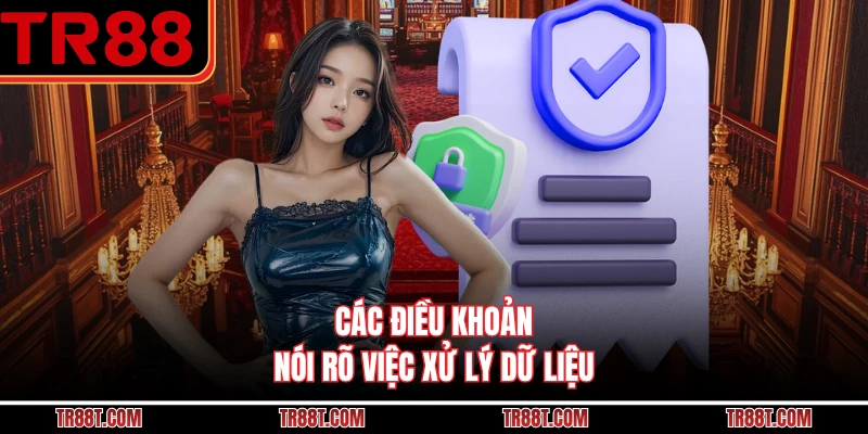Các điều khoản nói rõ việc xử lý dữ liệu