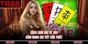 Cách Chơi Bài Tứ Sắc - Cẩm Nang Chi Tiết Cần Thiết