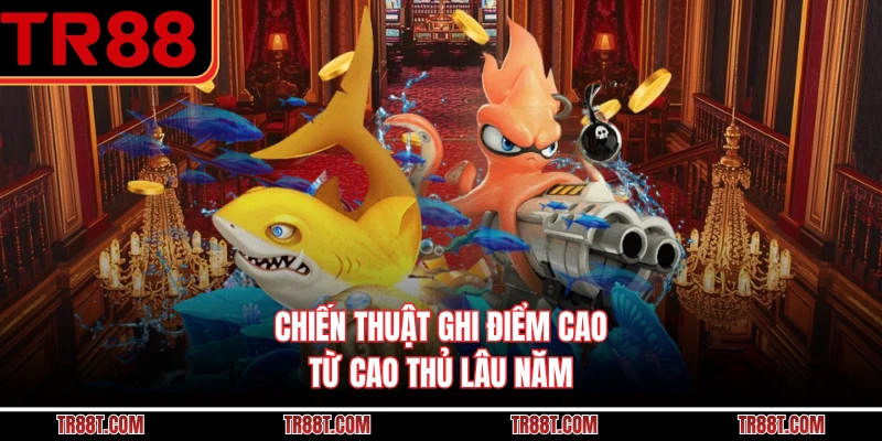 Chiến thuật ghi điểm cao từ cao thủ lâu năm