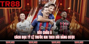 Kèo Châu Á - Cách Đọc Tỷ Lệ Trước Khi Theo Dõi Bảng Cược