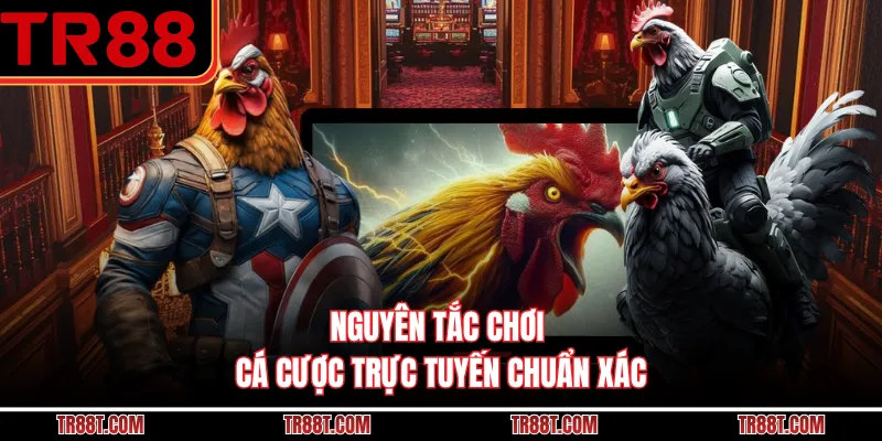 Nguyên tắc chơi cá cược trực tuyến chuẩn xác