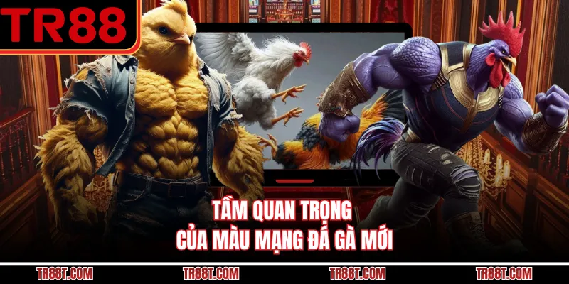 Tầm quan trọng của màu mạng đá gà mới