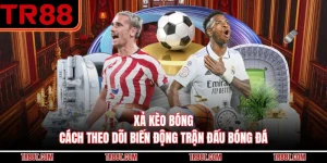Xả Kèo Bóng - Cách Theo Dõi Biến Động Trận Đấu Bóng Đá